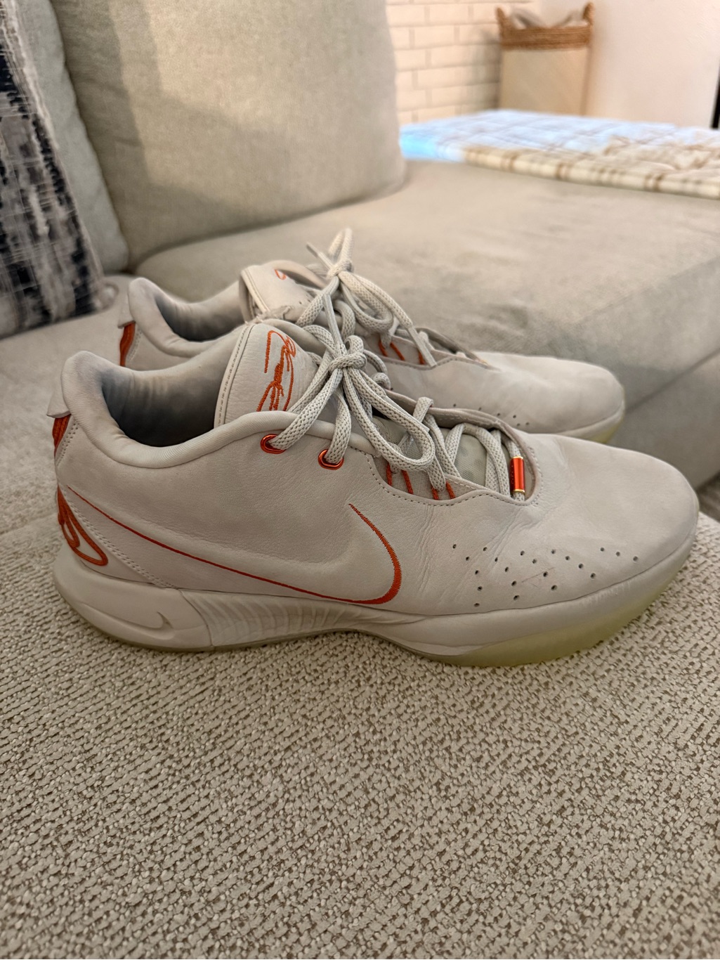 Nike Lebron